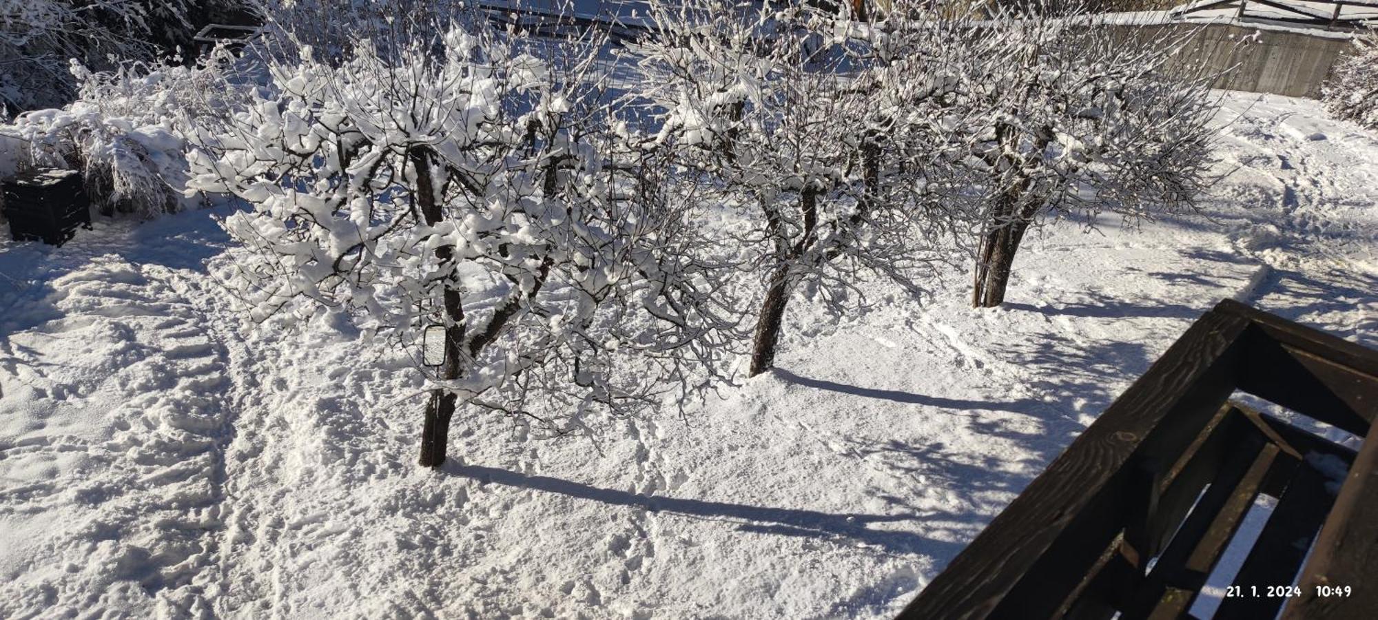 Apartment Apartma Arh Ratece